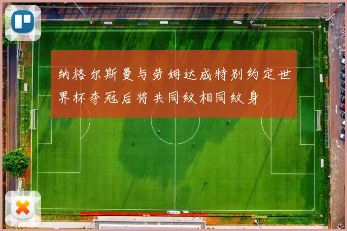 纳格尔斯曼与劳姆达成特别约定世界杯夺冠后将共同纹相同纹身